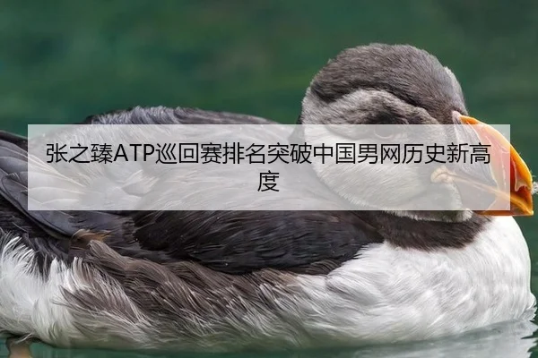 张之臻ATP巡回赛排名突破中国男网历史新高度