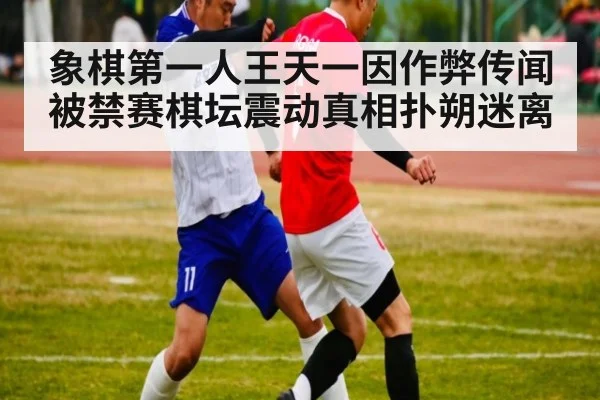 象棋第一人王天一因作弊传闻被禁赛棋坛震动真相扑朔迷离