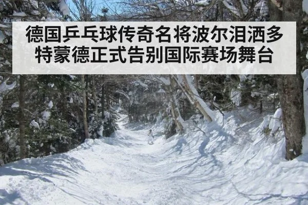 德国乒乓球传奇名将波尔泪洒多特蒙德正式告别国际赛场舞台